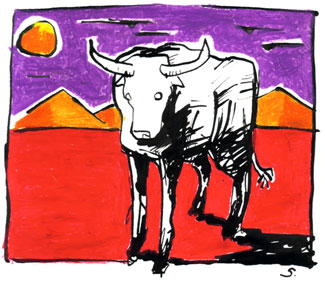 Bull In Desert